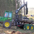 Bäume aus dem Wald befördern