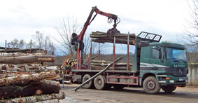 B&auml;ume aus dem Wald bef&ouml;rdern